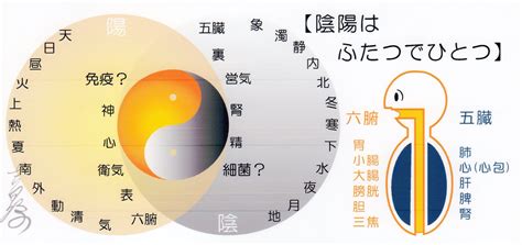 陰陽理論|陰 陽 ・五 行 に つ い て